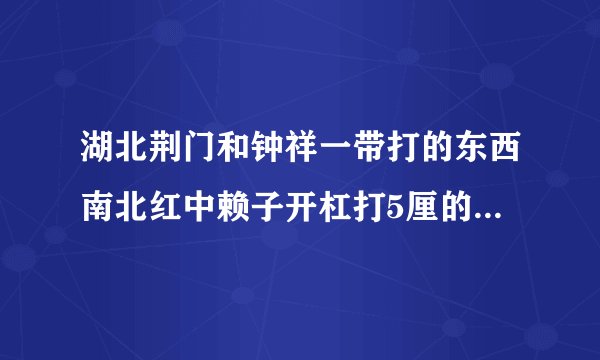 湖北荆门和钟祥一带打的东西南北红中赖子开杠打5厘的是怎么算帐？请懂得教下方法？