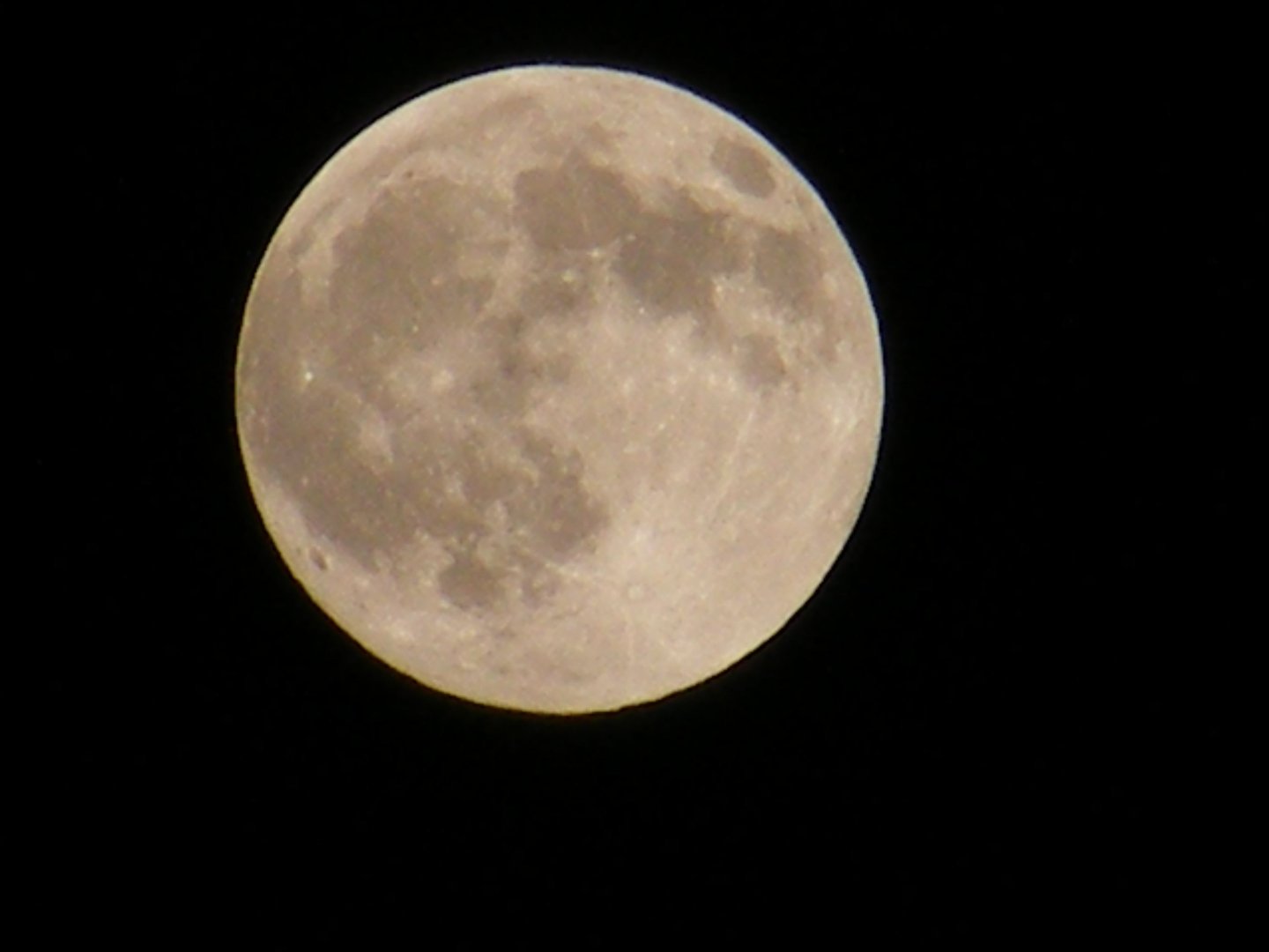 “十五的月亮十六圆”,下一句是什么