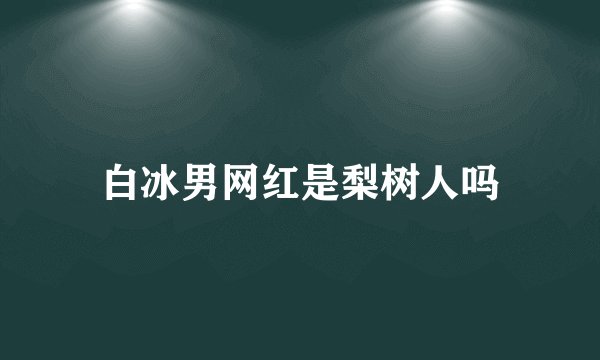 白冰男网红是梨树人吗