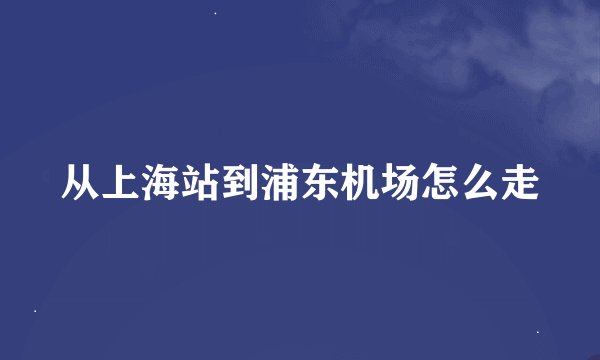 从上海站到浦东机场怎么走