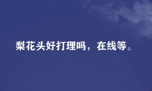 梨花头好打理吗，在线等。