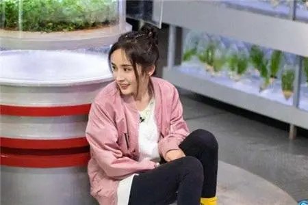 杨幂录制《密逃4》受伤,节目组发文道歉,节目组存在哪些失职?