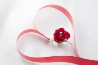 主人房被自己姐姐睡了，是我叫她下次不要睡，还叫谁和她说好，我这样可以吗？