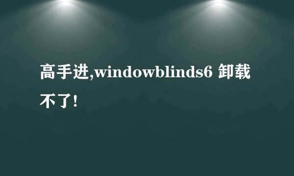 高手进,windowblinds6 卸载不了!