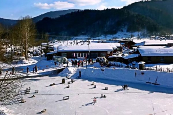 三九天什么时候开始的？