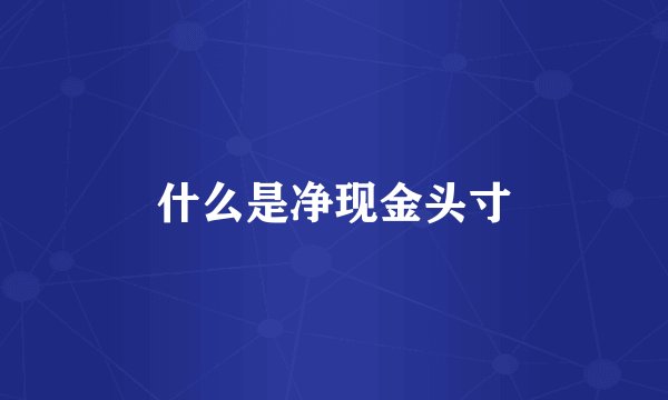 什么是净现金头寸