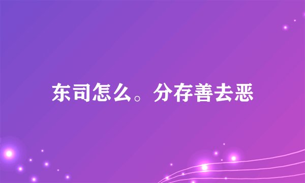 东司怎么。分存善去恶