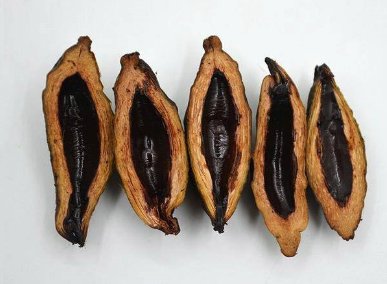 多地要求下架槟榔，海南槟榔协会回应，槟榔为什么致癌？