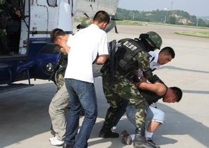 特种军官的娇妻的介绍