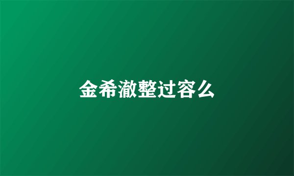 金希澈整过容么