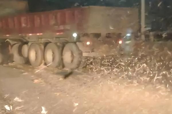 益阳大桥现飞虫铺天盖地，看了让人头皮发麻！这是蜉蝣吗？