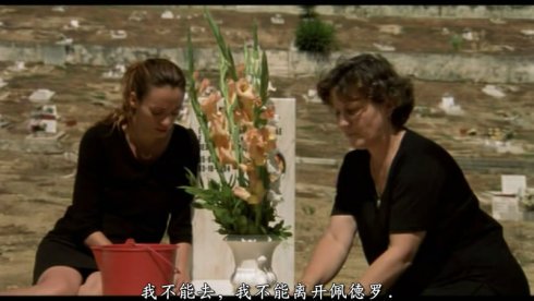 在坟场中心呼唤爱的剧情