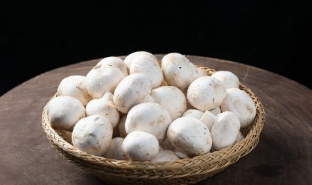 口蘑中的口字是指什么