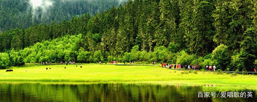 请问电视剧《司藤》里，达那是在哪里？