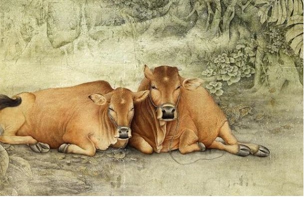 心如死灰是什么动物