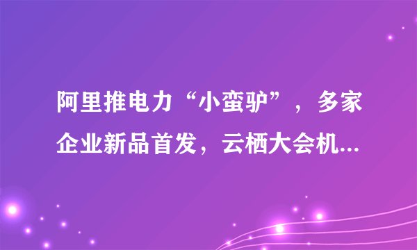 阿里推电力“小蛮驴”，多家企业新品首发，云栖大会机器人引围观