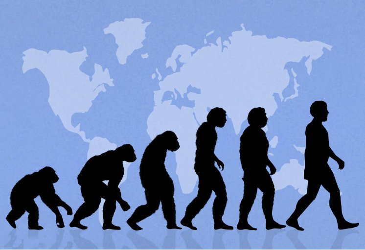 人类是如何交匹配的教学视频