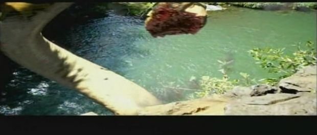 水虎蟒鱼的相关影讯