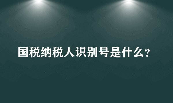 国税纳税人识别号是什么？