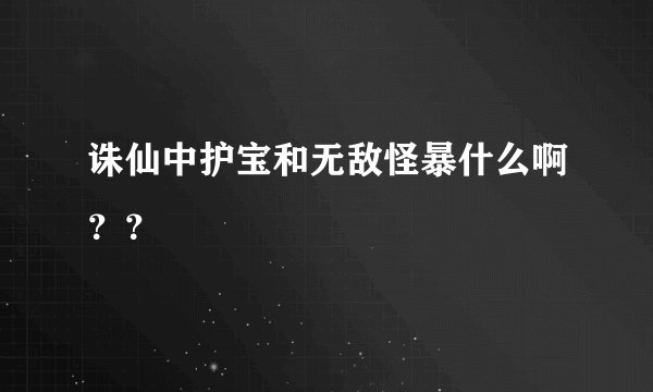 诛仙中护宝和无敌怪暴什么啊？？