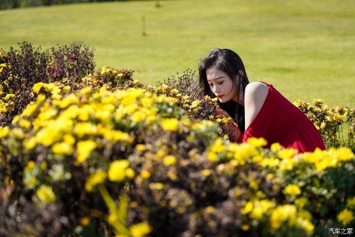 不容错过的红裙诱惑，佳人，瑞虎8PLUS，京都之间的“三角恋”