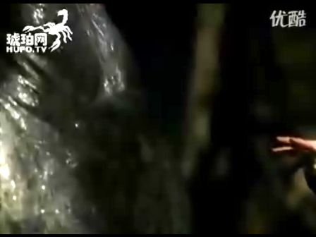 深海巨兽的影片看点