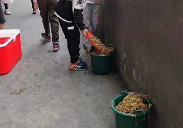 网上流传学生集体倒掉营养餐，到底发生了什么事情？