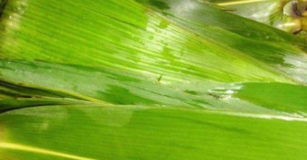 新买的粽叶煮多长时间?