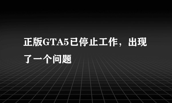 正版GTA5已停止工作，出现了一个问题