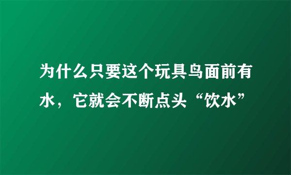 为什么只要这个玩具鸟面前有水，它就会不断点头“饮水”