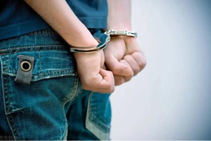 少年犯是什么意思