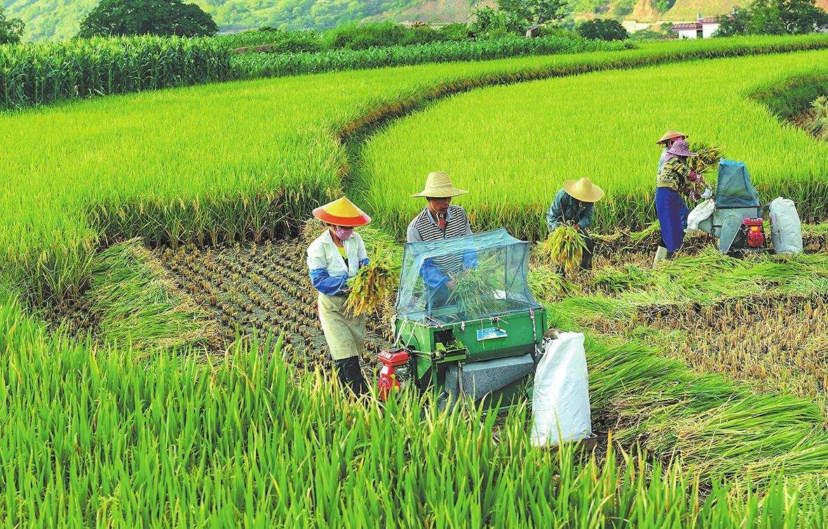 农民在一年四季里主要有哪些农事活动