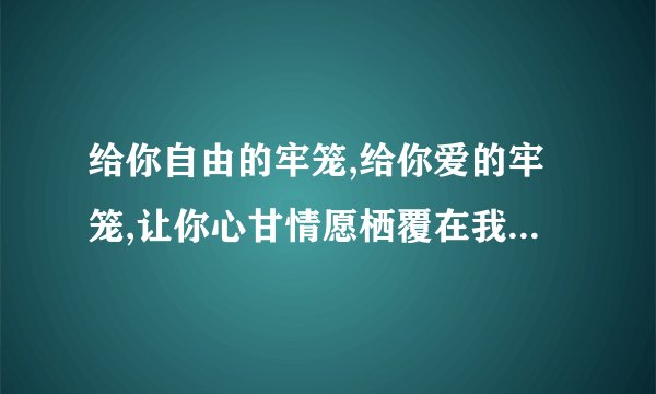 给你自由的牢笼,给你爱的牢笼,让你心甘情愿栖覆在我手上。什么意思？