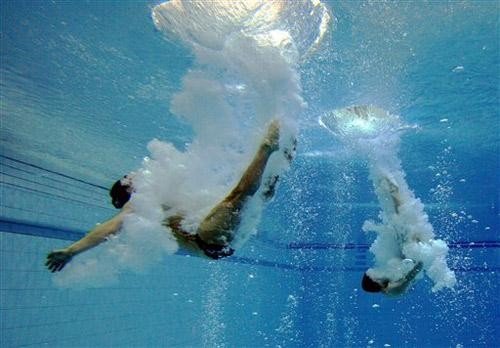 国际泳联取消跳水世界杯，为什么要取消？