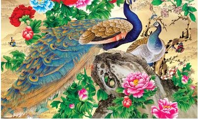 邓明善的人生经历