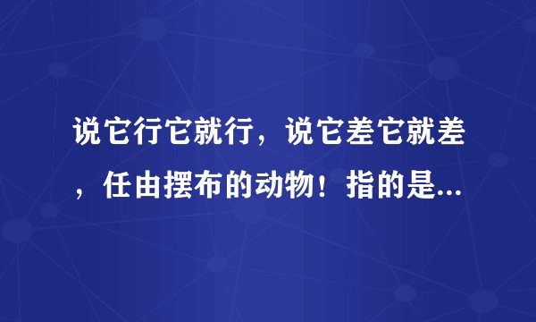 说它行它就行，说它差它就差，任由摆布的动物！指的是什么动物生肖？