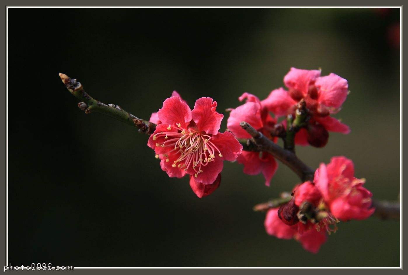 描写中秋节悲伤的诗句有哪些？
