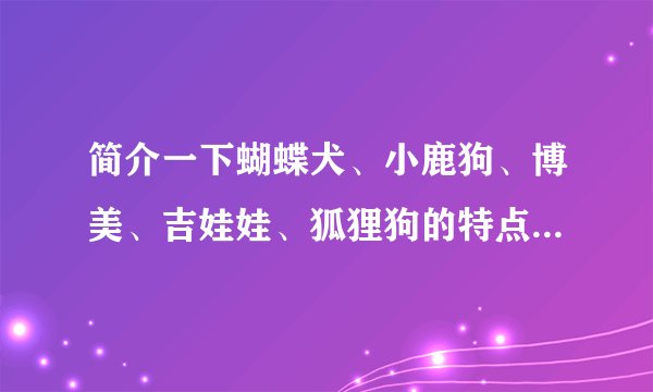 简介一下蝴蝶犬、小鹿狗、博美、吉娃娃、狐狸狗的特点、特征等等~？