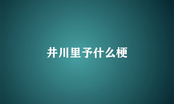 井川里予什么梗