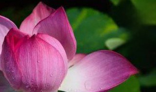 2020年夏至是几月几号 有相关的知识科普吗