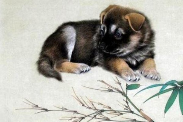 云游天界打一个生肖