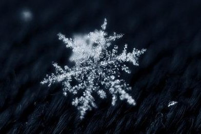 冬至节的雪精灵的内容简介：