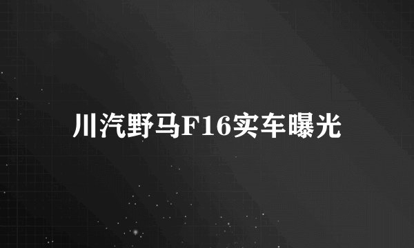川汽野马F16实车曝光