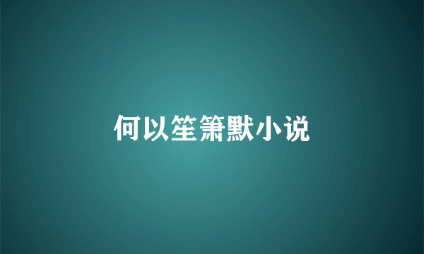 何以笙箫默小说