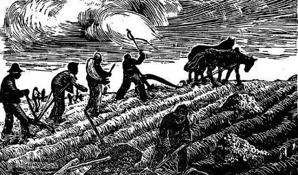 圆明园是怎样被毁的?