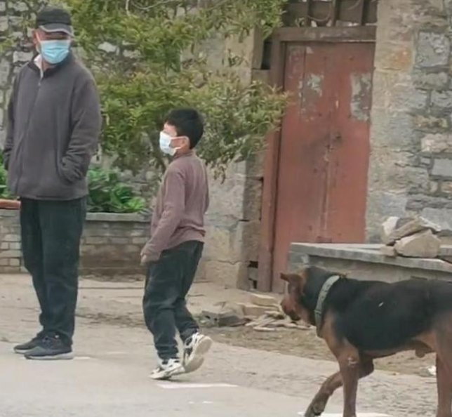 河南一小男孩坐在狗狗身上排队做核酸，这一幕遭到了网友怎样的吐槽？