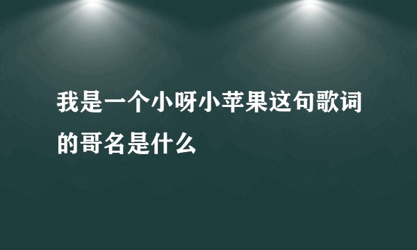 我是一个小呀小苹果这句歌词的哥名是什么