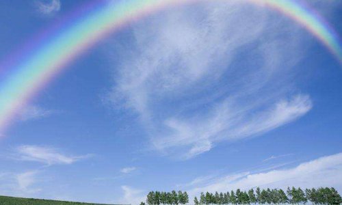 彩虹的顶部是什么颜色？