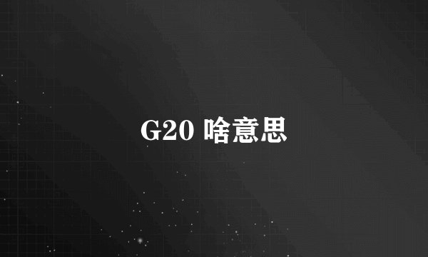 G20 啥意思
