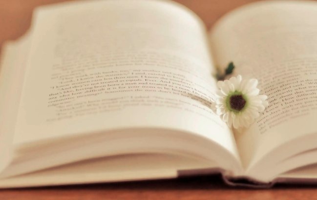 薄可以组什么词语和拼音